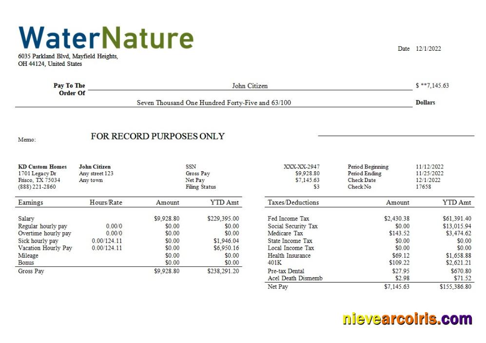water company editable earning statement